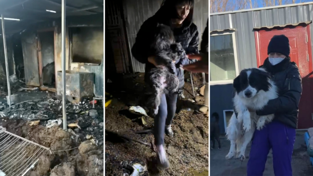 She ran back into the fire. One shelter and 13 survivors carry on her legacy.